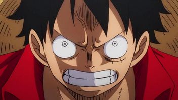 „Kinda Lost Respect for Luffy.” One Piece Chapter 1131 Divided Fans and Sparked Debate Over Luffy Being Hero